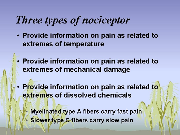 Three types of nociceptor • Provide information on pain as related to extremes of