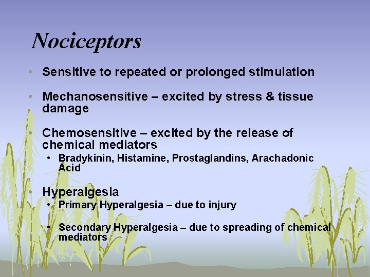 Nociceptors • Sensitive to repeated or prolonged stimulation • Mechanosensitive – excited by stress