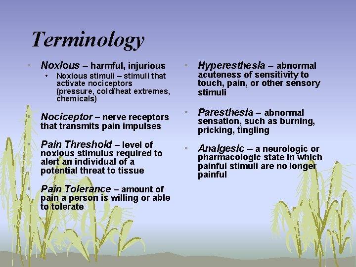 Terminology • Noxious – harmful, injurious • Noxious stimuli – stimuli that activate nociceptors