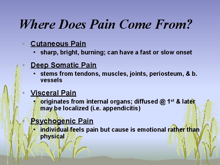 Where Does Pain Come From? • Cutaneous Pain • sharp, bright, burning; can have