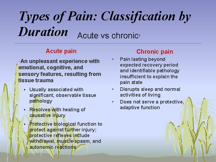 Types of Pain: Classification by Duration Acute vs chronic 1 Acute pain Chronic pain