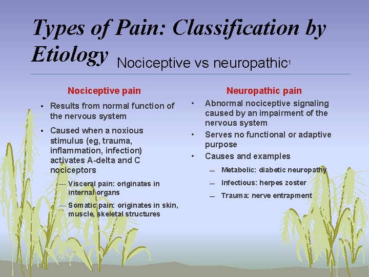 Types of Pain: Classification by Etiology Nociceptive vs neuropathic 1 Nociceptive pain Neuropathic pain