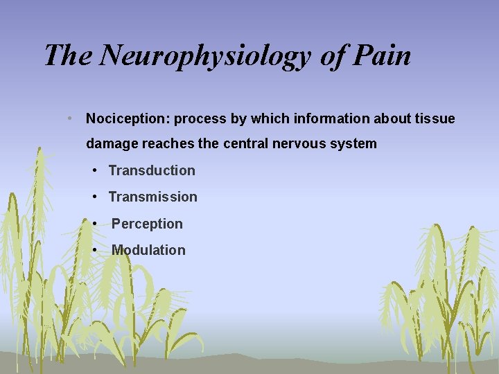 The Neurophysiology of Pain • Nociception: process by which information about tissue damage reaches