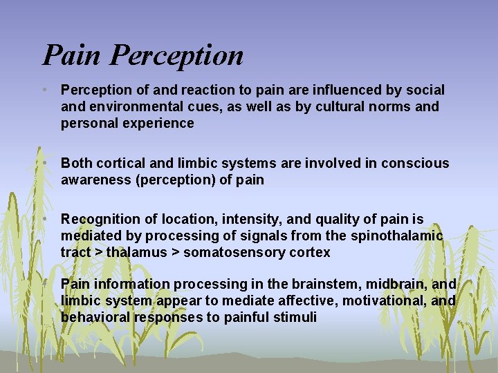 Pain Perception • Perception of and reaction to pain are influenced by social and
