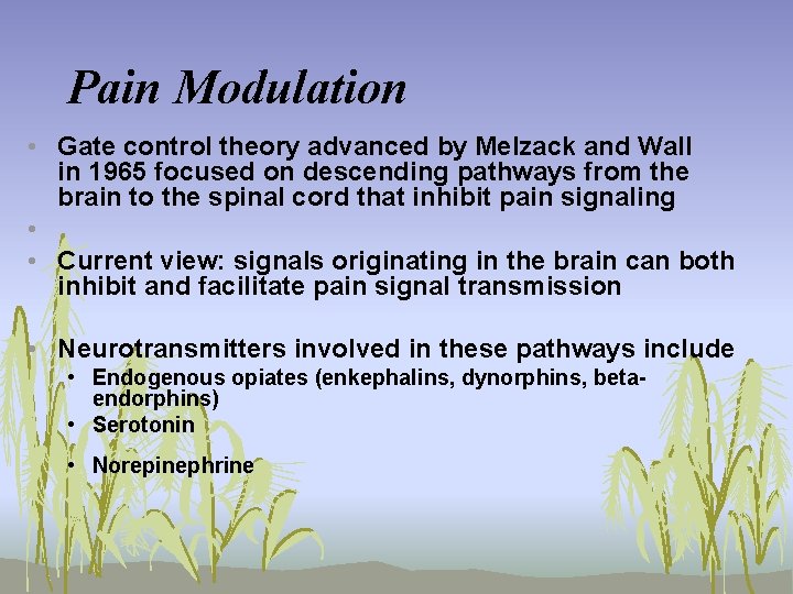 Pain Modulation • Gate control theory advanced by Melzack and Wall in 1965 focused