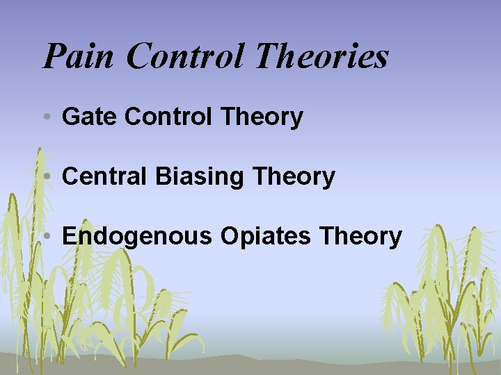 Pain Control Theories • Gate Control Theory • Central Biasing Theory • Endogenous Opiates