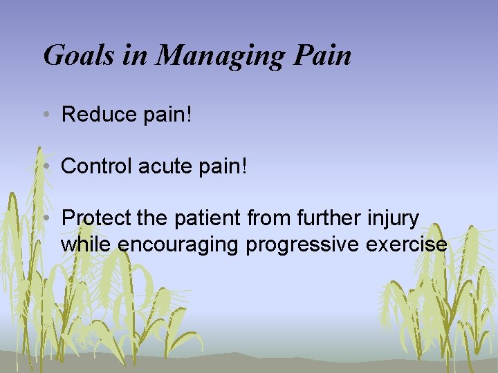 Goals in Managing Pain • Reduce pain! • Control acute pain! • Protect the