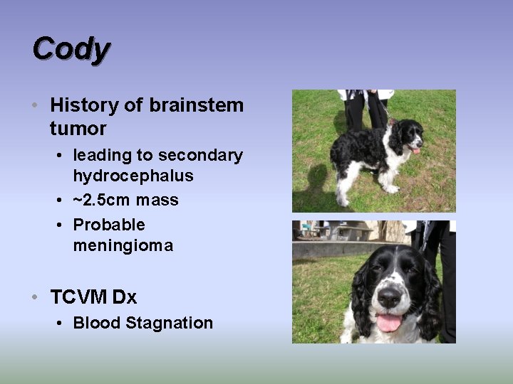 Cody • History of brainstem tumor • leading to secondary hydrocephalus • ~2. 5