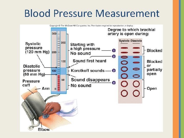 Blood Pressure Measurement 
