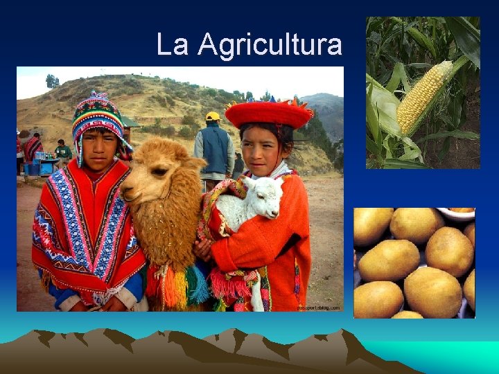 La Agricultura 