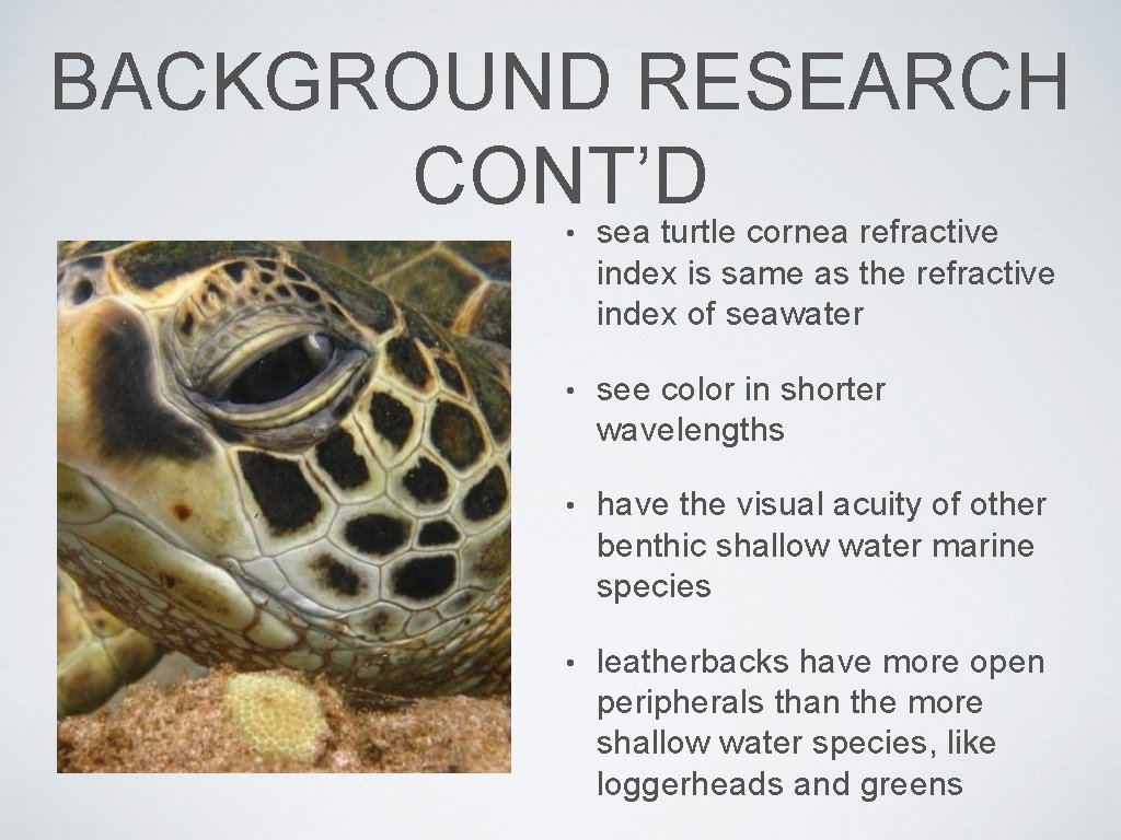 BACKGROUND RESEARCH CONT’D • sea turtle cornea refractive index is same as the refractive