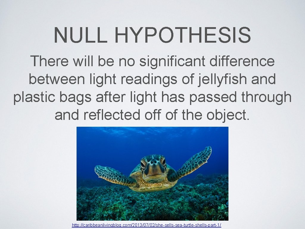 NULL HYPOTHESIS There will be no significant difference between light readings of jellyfish and