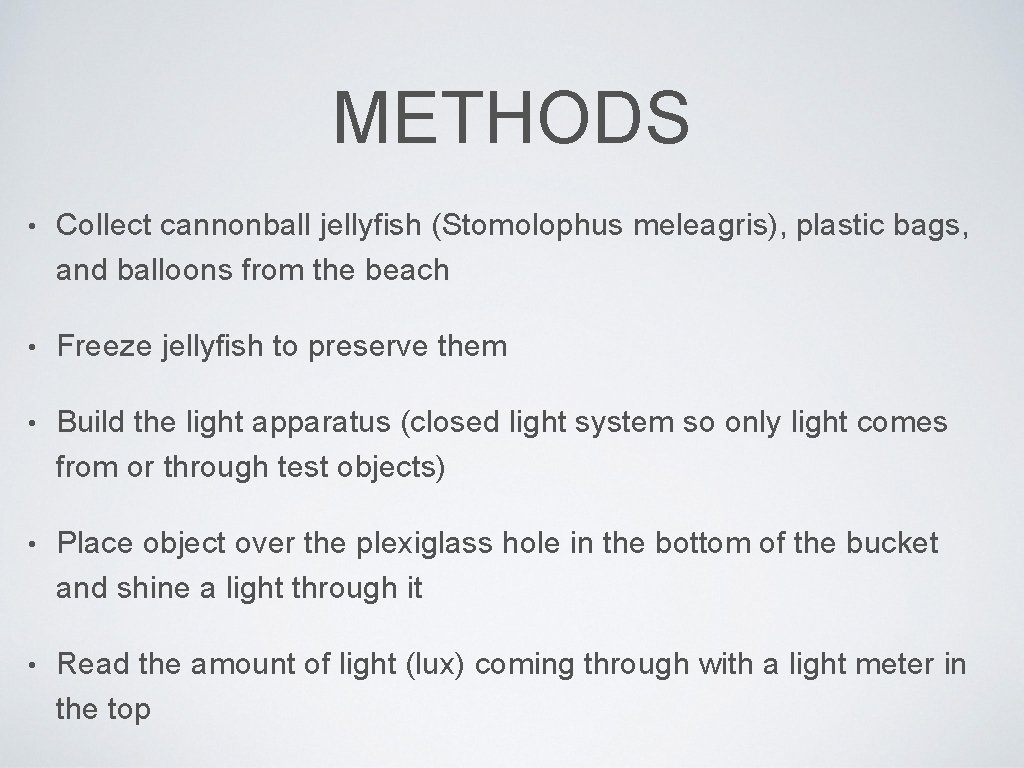 METHODS • Collect cannonball jellyfish (Stomolophus meleagris), plastic bags, and balloons from the beach