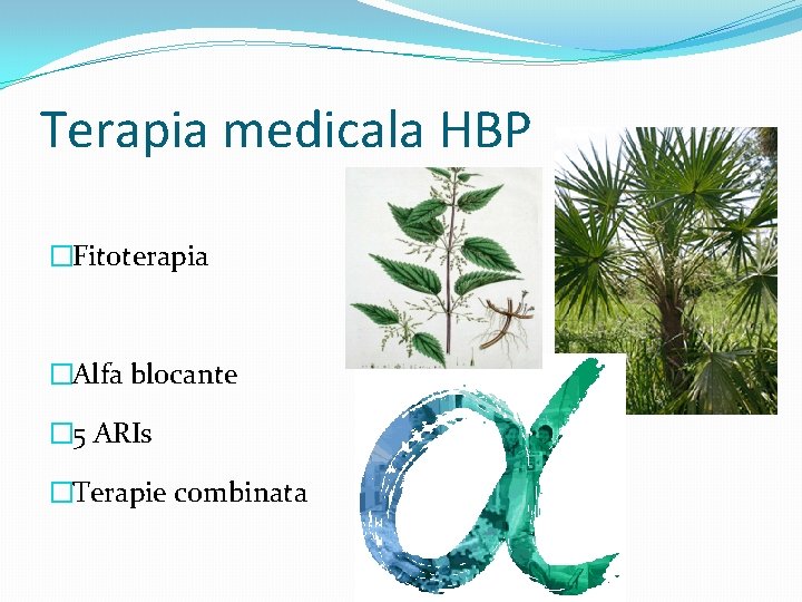Terapia medicala HBP �Fitoterapia �Alfa blocante � 5 ARIs �Terapie combinata 