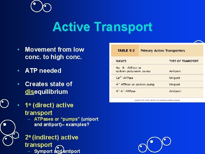 Active Transport • Movement from low conc. to high conc. • ATP needed •