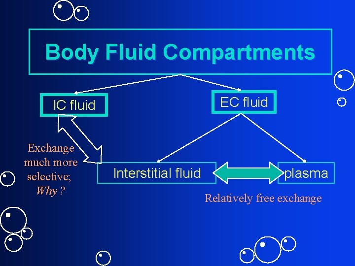 Body Fluid Compartments EC fluid IC fluid Exchange much more selective; Why ? Interstitial