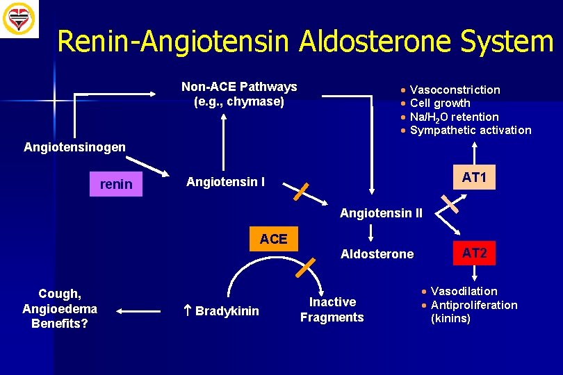 Renin-Angiotensin Aldosterone System Non-ACE Pathways (e. g. , chymase) · · Vasoconstriction Cell growth