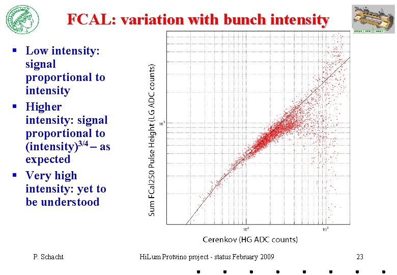 FCAL: variation with bunch intensity § Low intensity: signal proportional to intensity § Higher