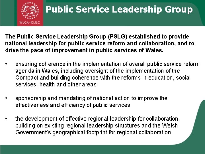 Public Service Leadership Group The Public Service Leadership Group (PSLG) established to provide national