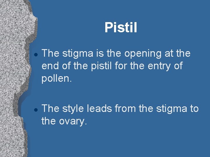 Pistil l l The stigma is the opening at the end of the pistil