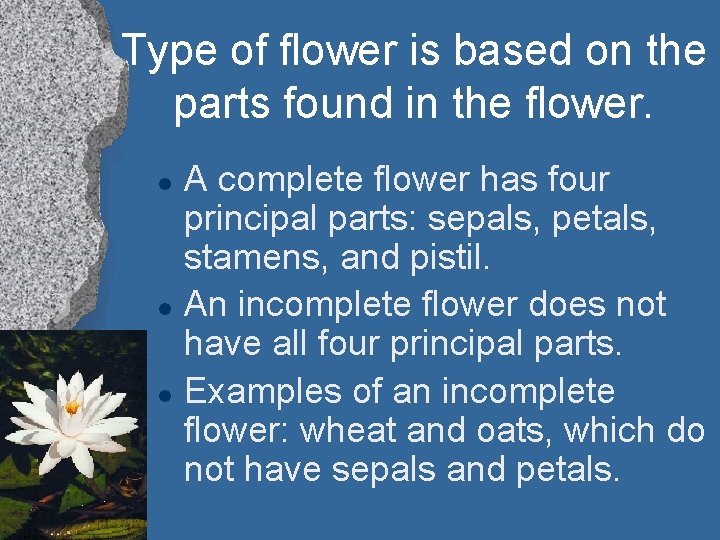 Type of flower is based on the parts found in the flower. l l