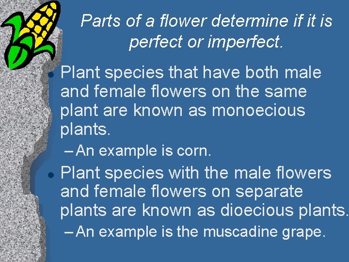 Parts of a flower determine if it is perfect or imperfect. l Plant species
