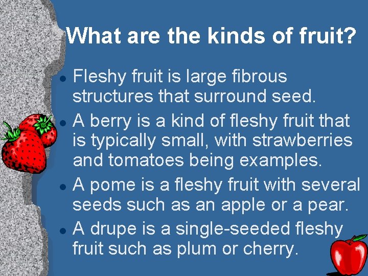 What are the kinds of fruit? l l Fleshy fruit is large fibrous structures