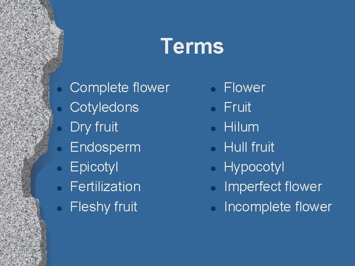 Terms l l l l Complete flower Cotyledons Dry fruit Endosperm Epicotyl Fertilization Fleshy