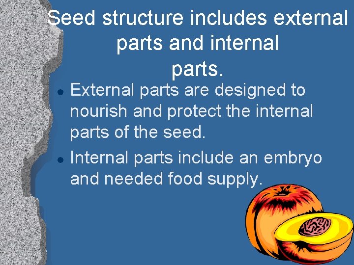 Seed structure includes external parts and internal parts. l l External parts are designed