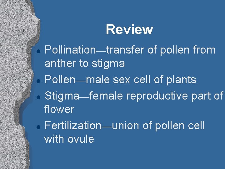 Review l l Pollination—transfer of pollen from anther to stigma Pollen—male sex cell of