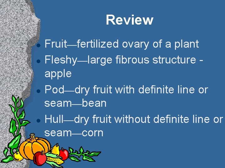 Review l l Fruit—fertilized ovary of a plant Fleshy—large fibrous structure apple Pod—dry fruit