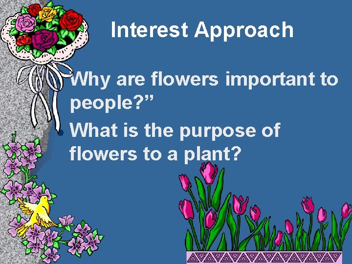 Interest Approach Why are flowers important to people? ” l What is the purpose