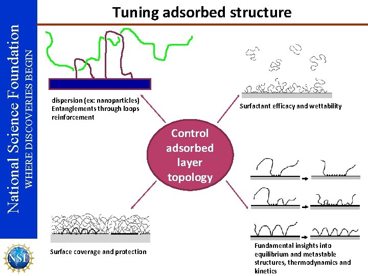 WHERE DISCOVERIES BEGIN National Science Foundation Tuning adsorbed structure dispersion (ex: nanoparticles) Entanglements through