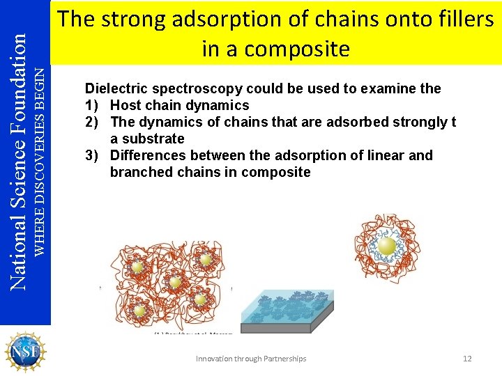WHERE DISCOVERIES BEGIN National Science Foundation The strong adsorption of chains onto fillers in