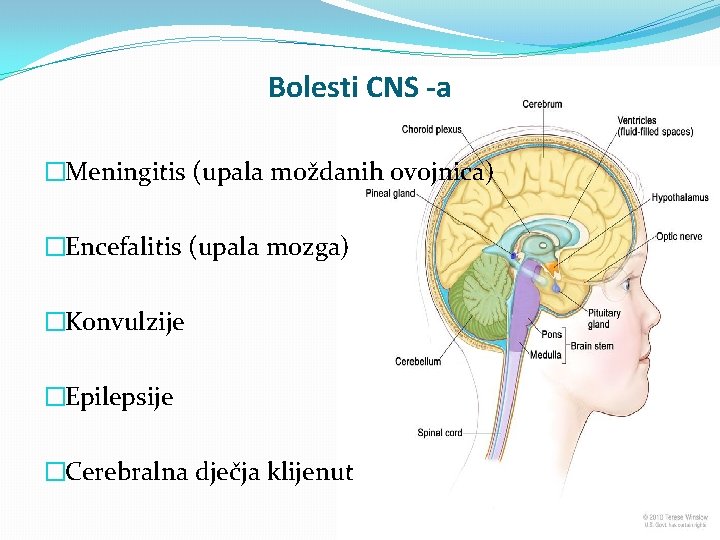 Bolesti CNS -a �Meningitis (upala moždanih ovojnica) �Encefalitis (upala mozga) �Konvulzije �Epilepsije �Cerebralna dječja