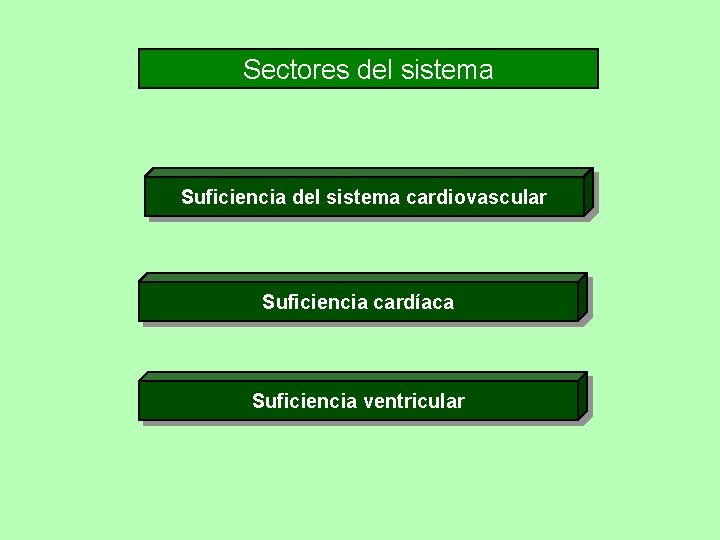 Sectores del sistema Suficiencia del sistema cardiovascular Suficiencia cardíaca Suficiencia ventricular 