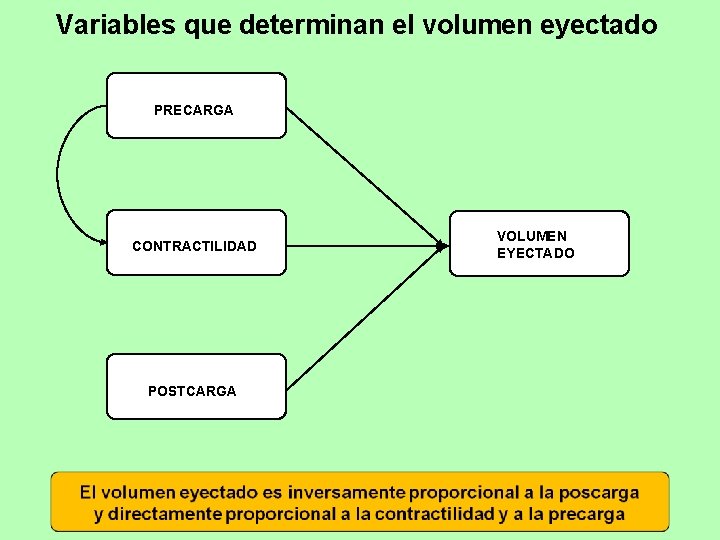 Variables que determinan el volumen eyectado PRECARGA CONTRACTILIDAD POSTCARGA VOLUMEN EYECTADO 