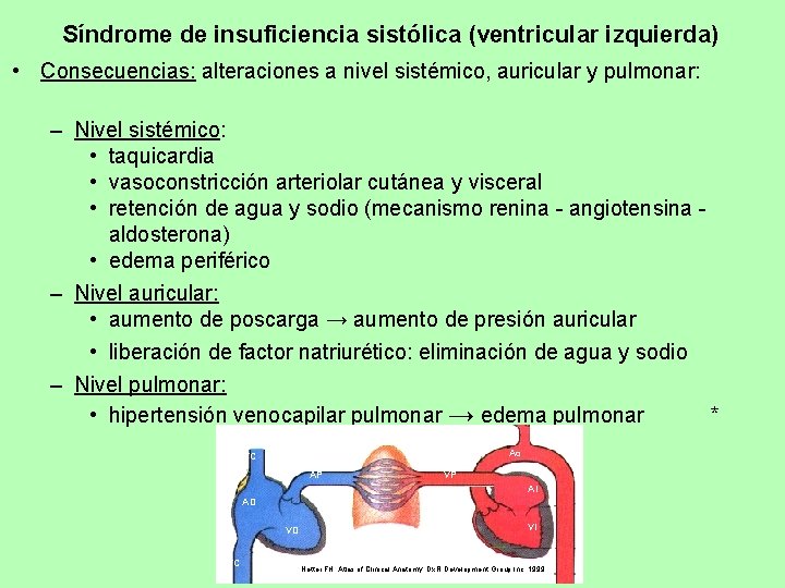 Síndrome de insuficiencia sistólica (ventricular izquierda) • Consecuencias: alteraciones a nivel sistémico, auricular y