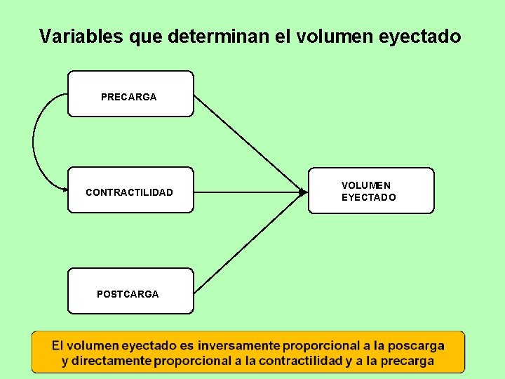 Variables que determinan el volumen eyectado PRECARGA CONTRACTILIDAD POSTCARGA VOLUMEN EYECTADO 