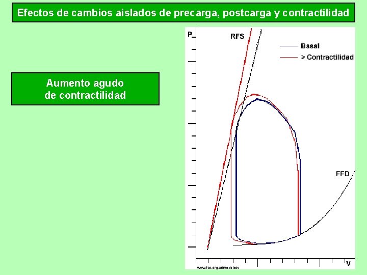 Efectos de cambios aislados de precarga, postcarga y contractilidad Aumento agudo de contractilidad 