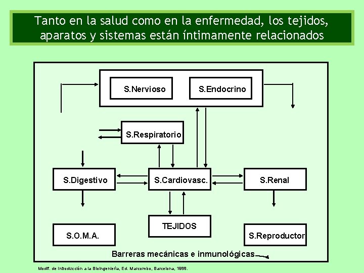 Tanto en la salud como en la enfermedad, los tejidos, aparatos y sistemas están