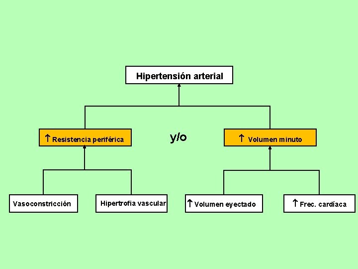 Hipertensión arterial Resistencia periférica Vasoconstricción Hipertrofia vascular y/o Volumen minuto Volumen eyectado Frec. cardíaca