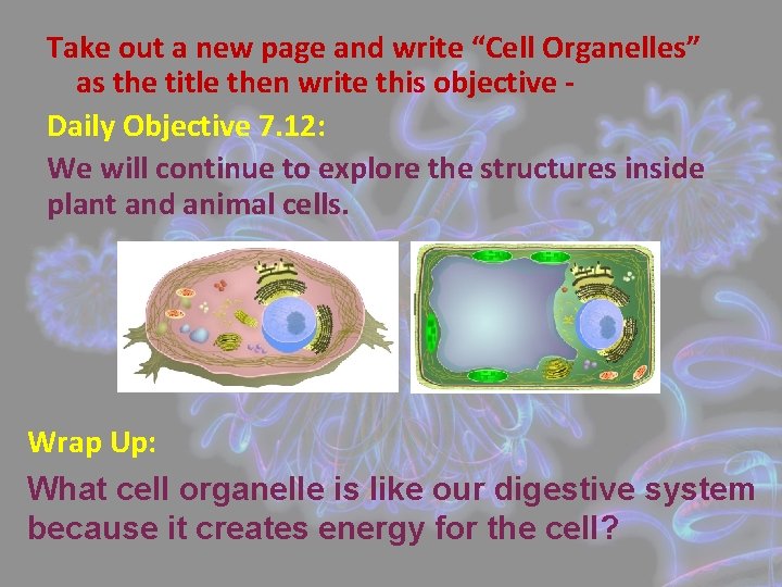 Take out a new page and write “Cell Organelles” as the title then write