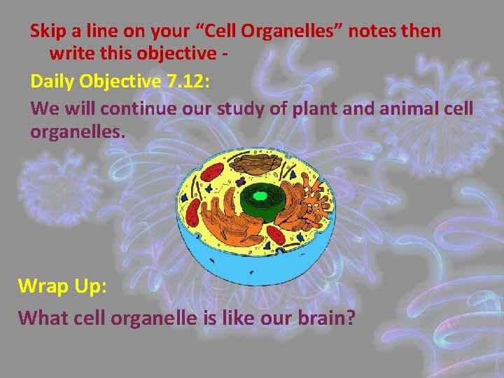 Skip a line on your “Cell Organelles” notes then write this objective Daily Objective