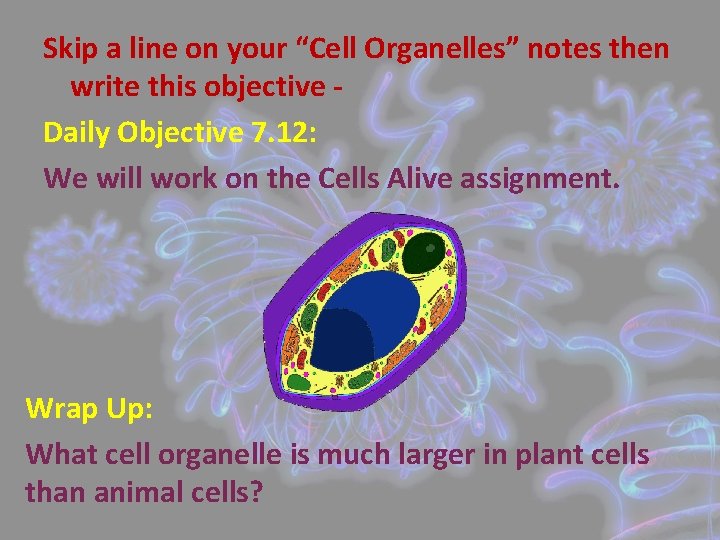 Skip a line on your “Cell Organelles” notes then write this objective Daily Objective