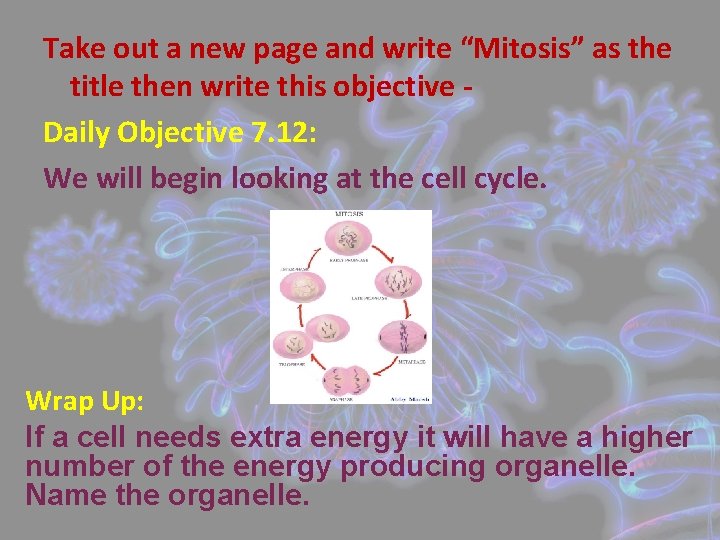 Take out a new page and write “Mitosis” as the title then write this