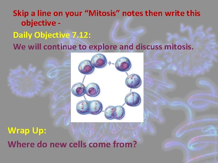 Skip a line on your “Mitosis” notes then write this objective Daily Objective 7.