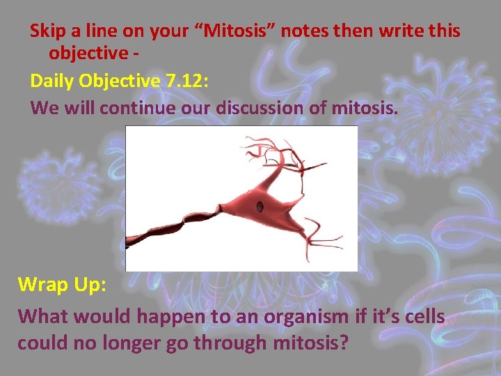 Skip a line on your “Mitosis” notes then write this objective Daily Objective 7.
