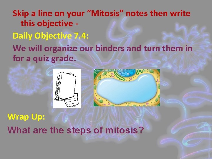 Skip a line on your “Mitosis” notes then write this objective Daily Objective 7.