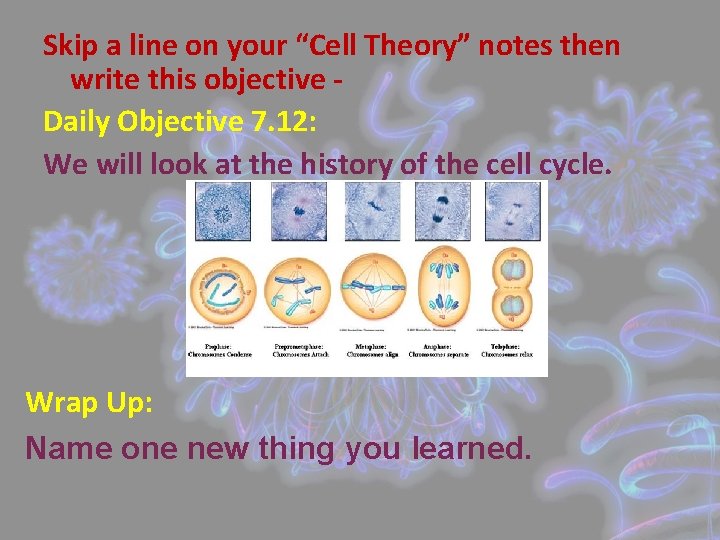 Skip a line on your “Cell Theory” notes then write this objective Daily Objective